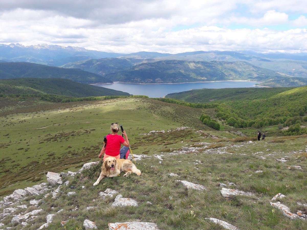 Vertical Hostel Mavrovo Eksteriør billede